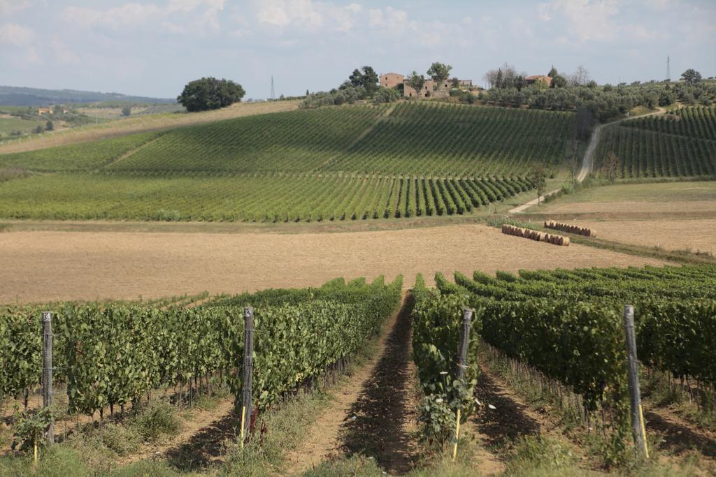 Agriturismo Spazzavento Vinci Kültér fotó